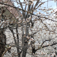 画像285