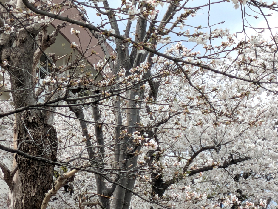 画像285