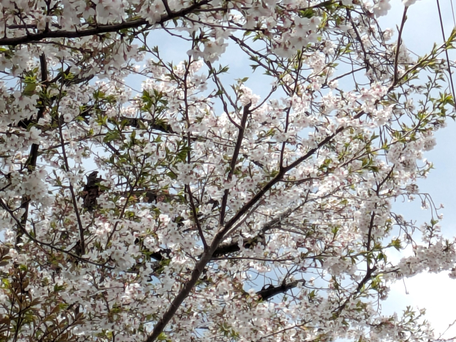 画像287