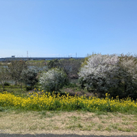 画像290