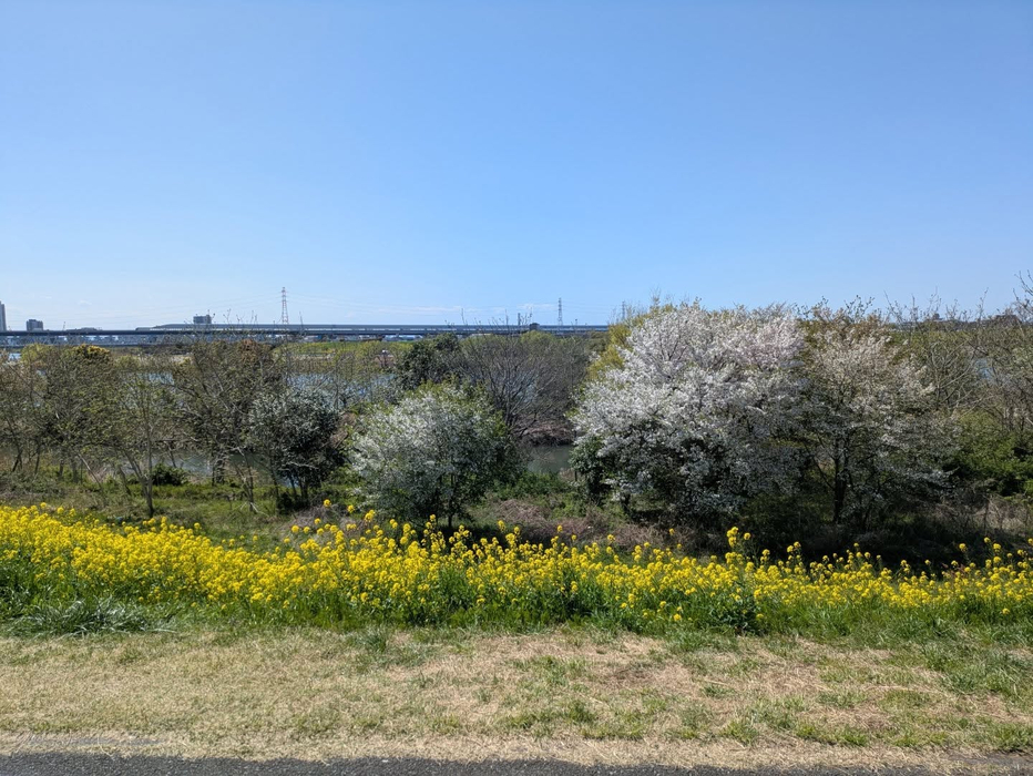 画像290